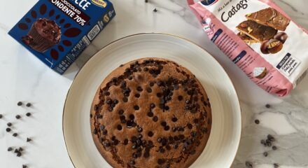 Torta con farina di castagne e gocce di cioccolato